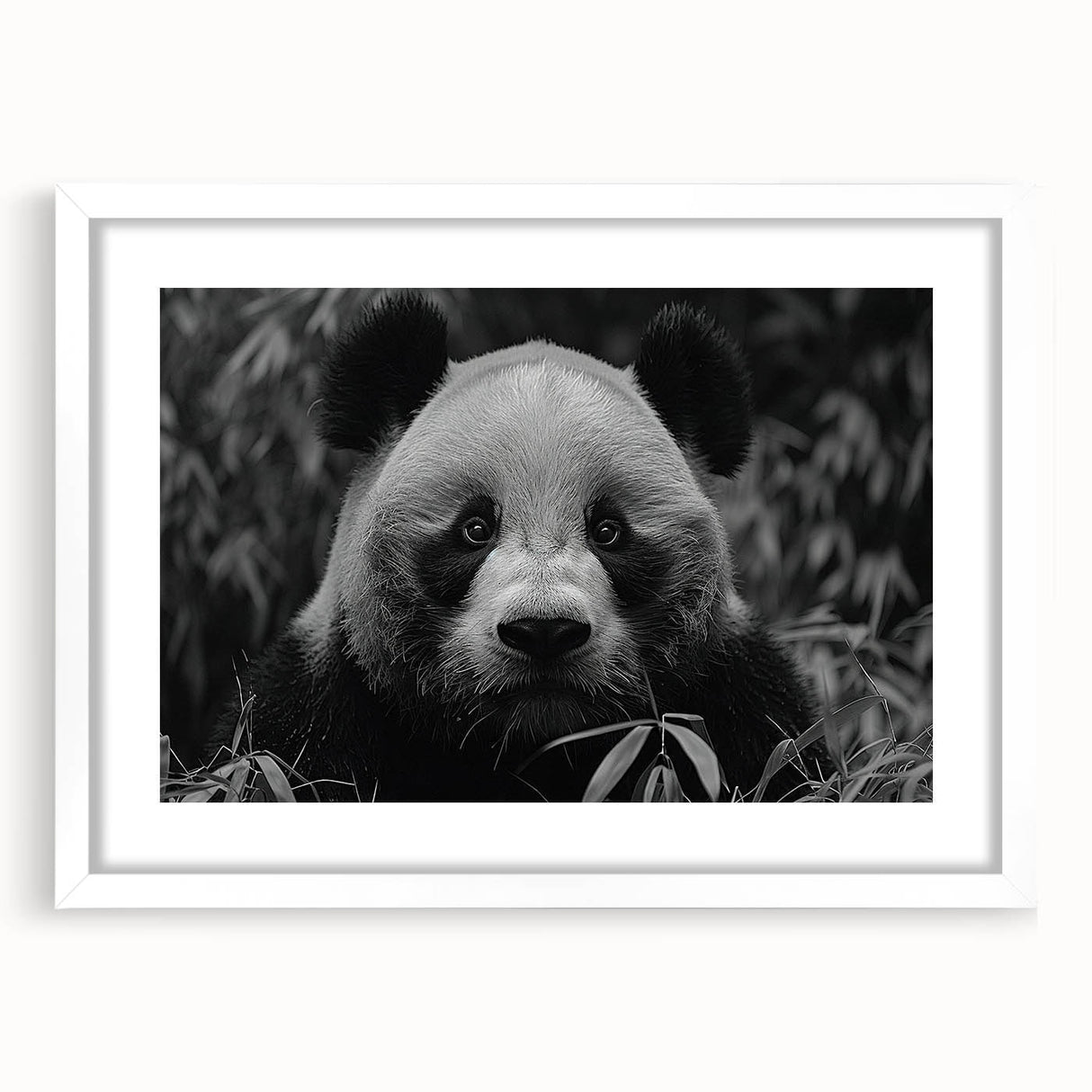Panda bear wall art collection framed in white, showcasing a cute panda design with a mat, perfect for children's rooms or playful decor. Ideal for adding a whimsical touch to any space.