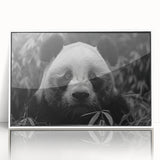 Framed acrylic wall art featuring a playful panda bear design with vibrant colors, displayed in a modern white frame, perfect for children's rooms and animal lovers.