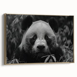 Framed canvas wall art featuring a whimsical panda bear design in vibrant colors, set against a sleek gold frame, ideal for children's rooms and playful decor.