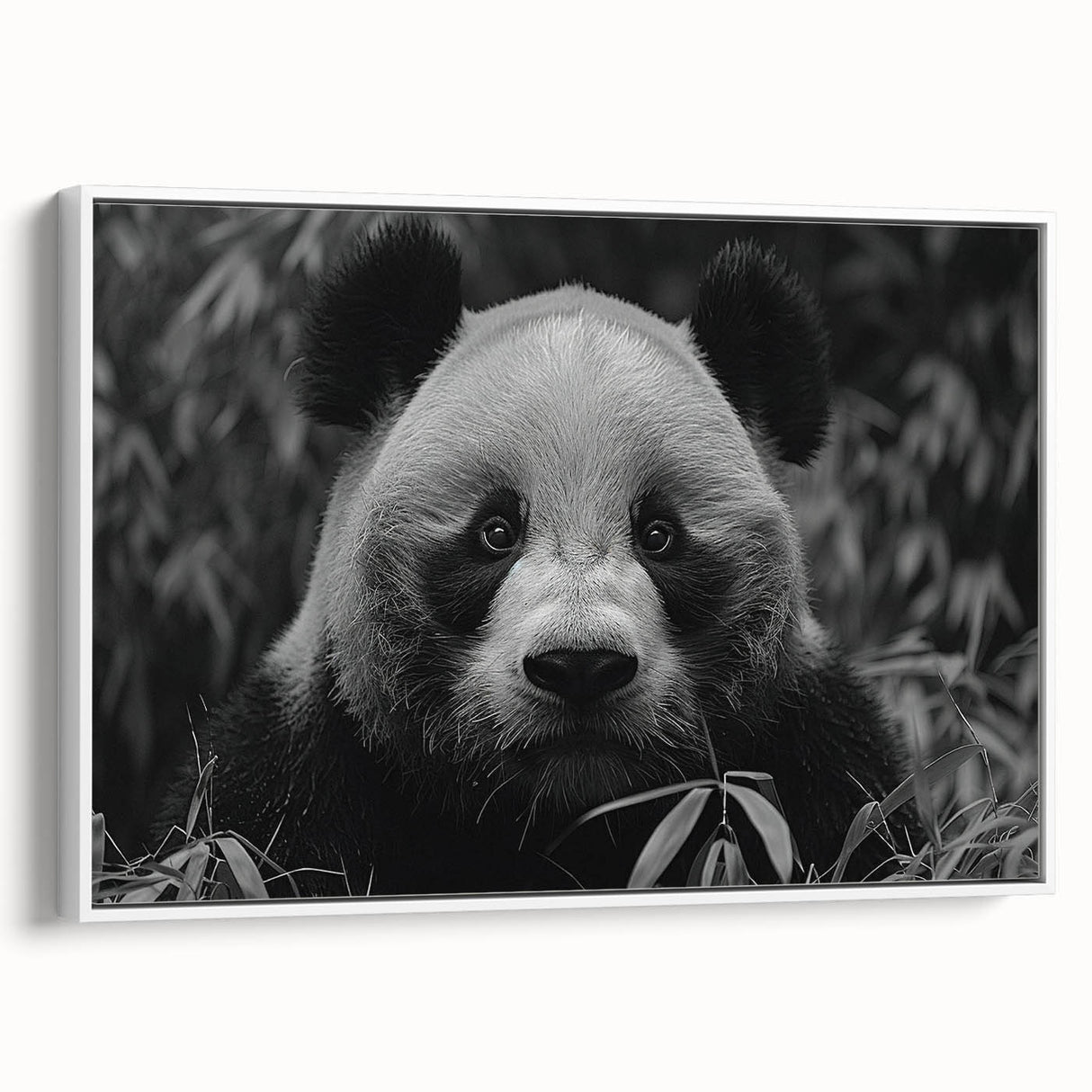 Framed canvas wall art featuring a playful panda bear design, set against a white background, ideal for children's room decor or animal-themed spaces. The artwork showcases vibrant colors and intricate details, enhancing any interior with a whimsical touch.