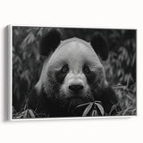 Framed canvas wall art featuring a playful panda bear design, set against a white background, ideal for children's room decor or animal-themed spaces. The artwork showcases vibrant colors and intricate details, enhancing any interior with a whimsical touch.