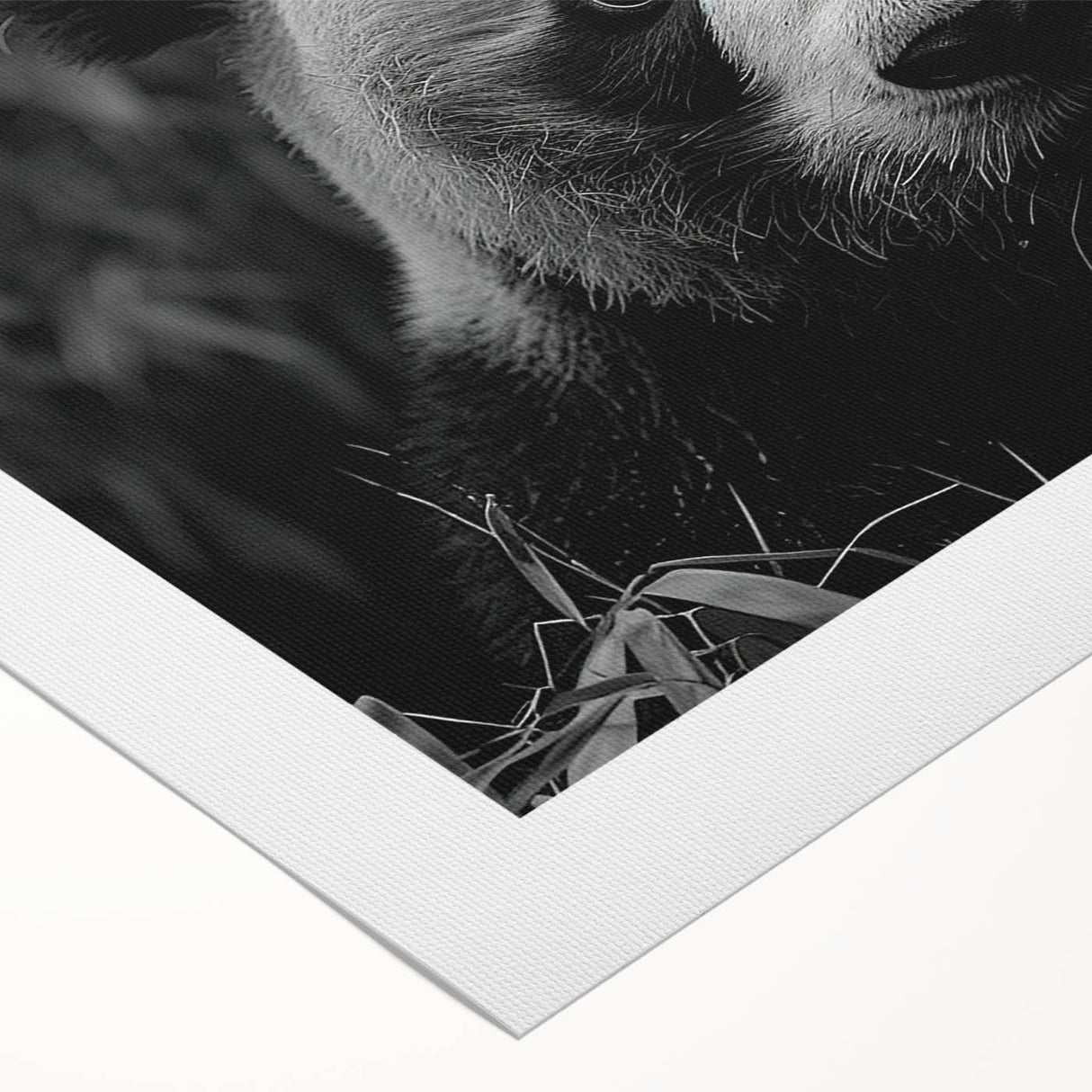 Rolled canvas showcasing a whimsical panda bear illustration, perfect for children's room decor. The colorful design features playful elements and a vibrant background, ideal for adding charm to any space.