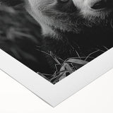 Rolled canvas showcasing a whimsical panda bear illustration, perfect for children's room decor. The colorful design features playful elements and a vibrant background, ideal for adding charm to any space.