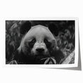 Panda bear wall art print showcasing a whimsical design with vibrant colors, rolled and ready for framing, perfect for children's room decor or playful spaces.