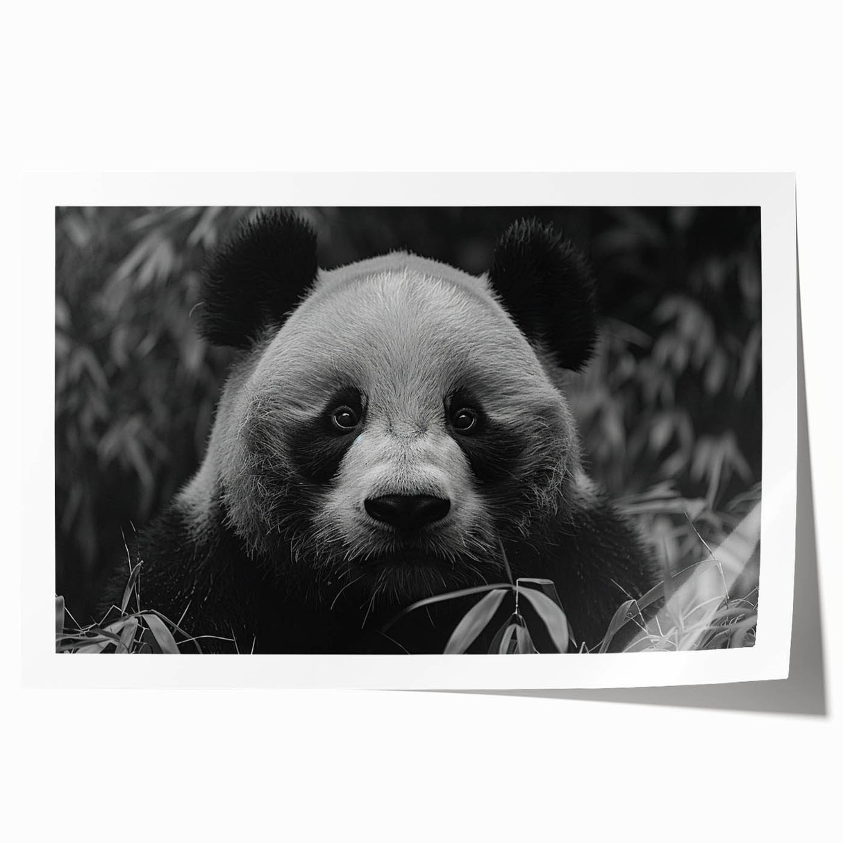 Panda bear wall art print showcasing a whimsical design with vibrant colors, rolled and ready for framing, perfect for children's room decor or playful spaces.