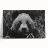 Stretched canvas wall art featuring a whimsical panda bear design, showcasing vibrant colors and playful details, perfect for children's room decor.