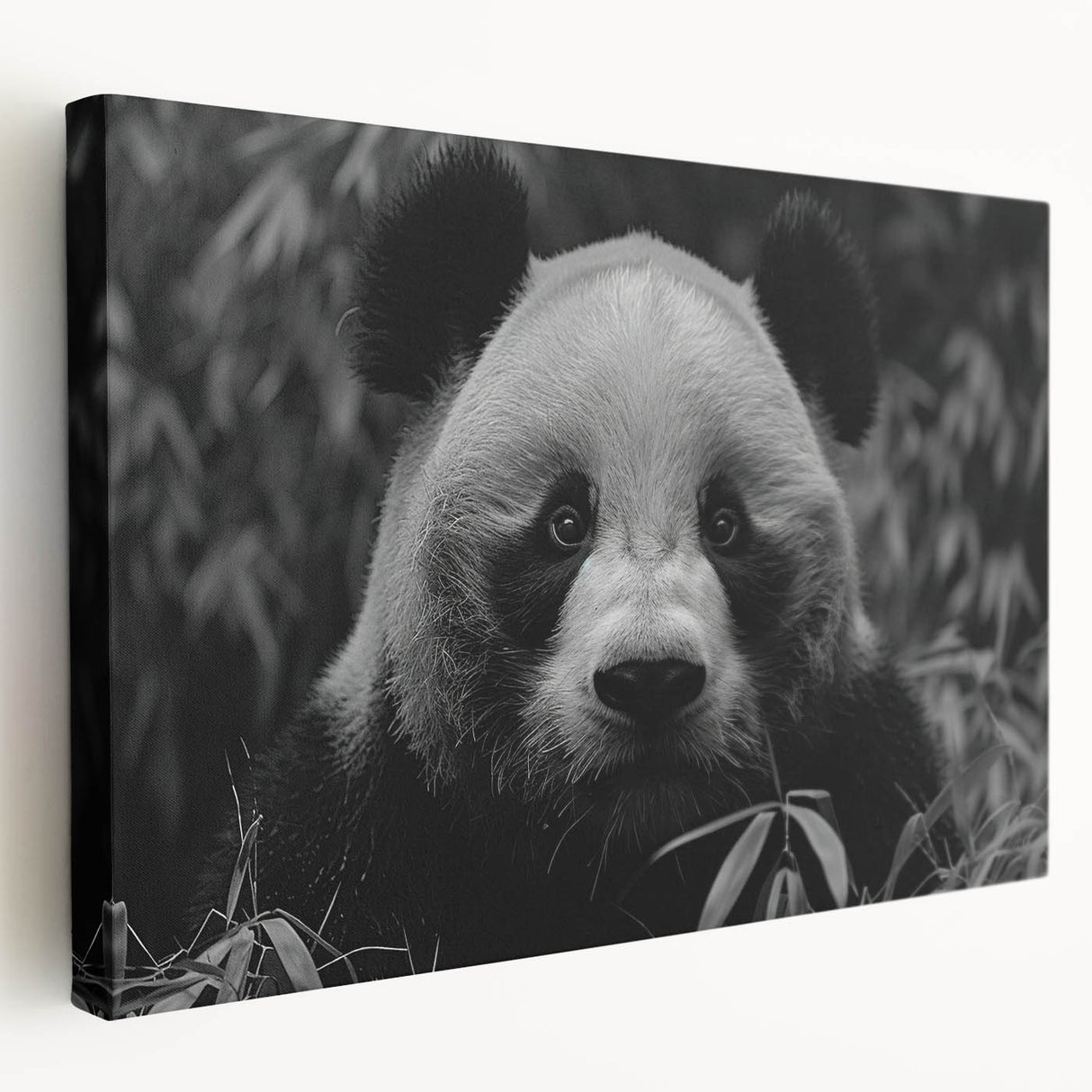 Panda bear-themed wall art on stretched canvas, showcasing vibrant colors and a playful design, perfect for children's rooms or animal lovers' decor.