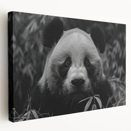 Panda bear-themed wall art on stretched canvas, showcasing vibrant colors and a playful design, perfect for children's rooms or animal lovers' decor.