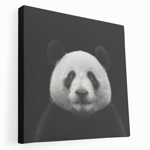 Stretched canvas wall art featuring a playful panda bear design in vibrant colors, showcasing a side view that highlights its detailed illustration and modern aesthetic. Perfect for children's rooms or playful decor.