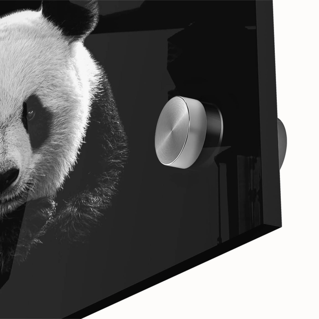 Close-up of a vibrant panda bear wall art piece designed on acrylic glass, showcasing intricate details and vivid colors, perfect for modern home decor.