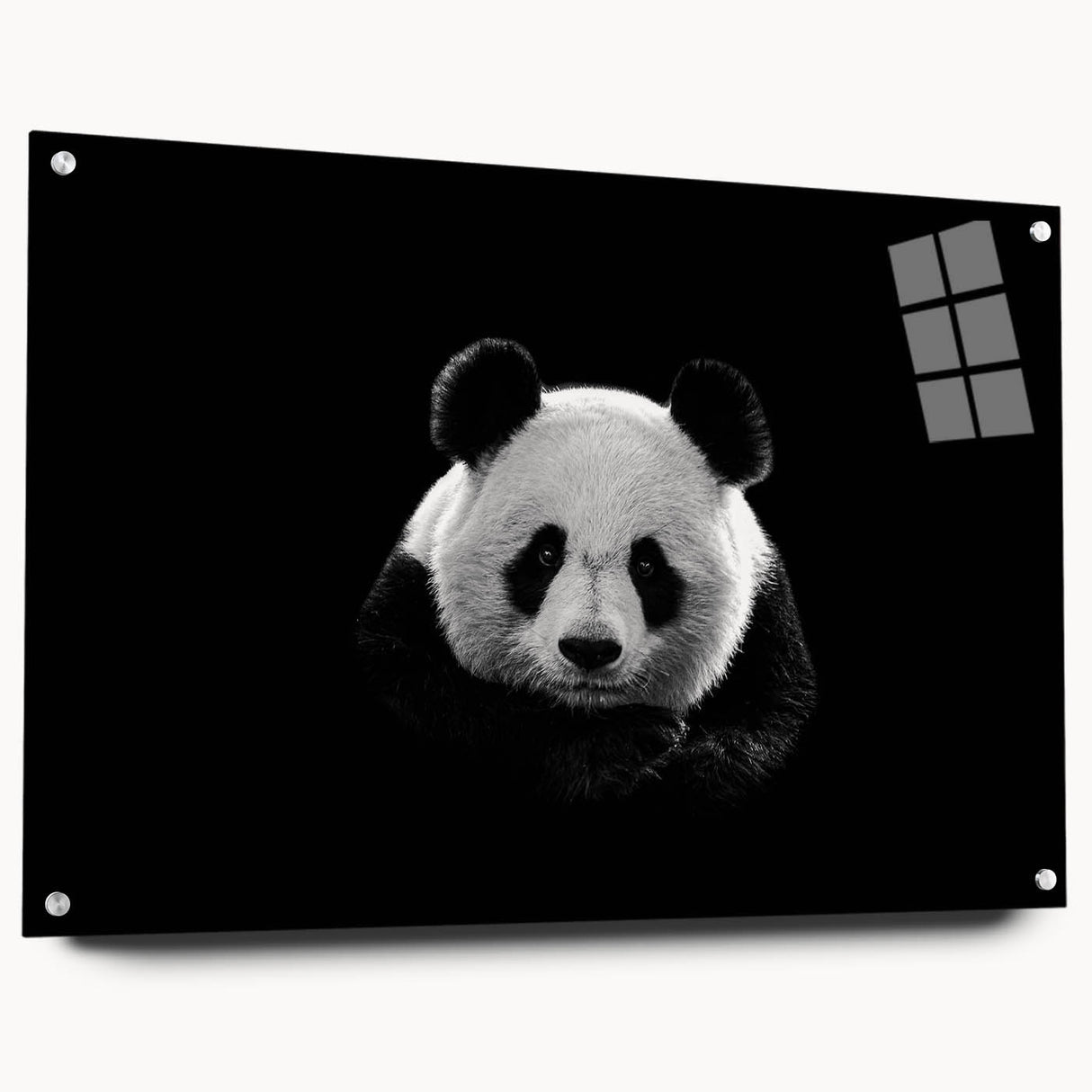 Acrylic glass wall art collection showcasing a bear and panda design in a side view perspective, featuring vibrant colors and a modern aesthetic, perfect for home decor.