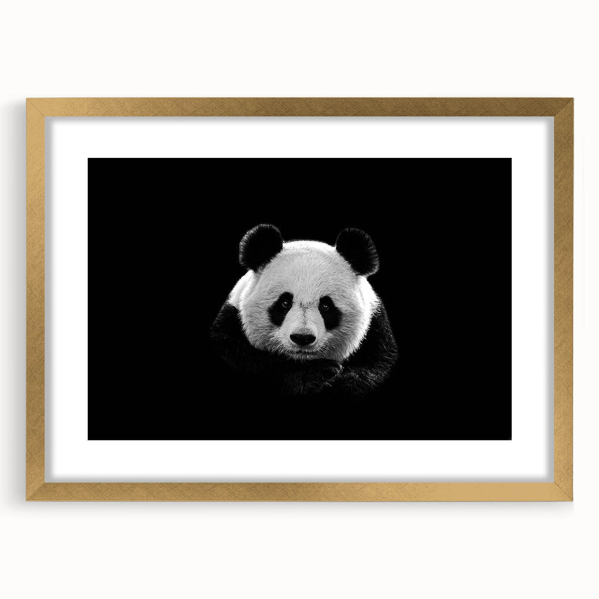 Framed wall art collection showcasing a charming panda bear design with a gold mat, perfect for adding a whimsical touch to children's rooms or nurseries.