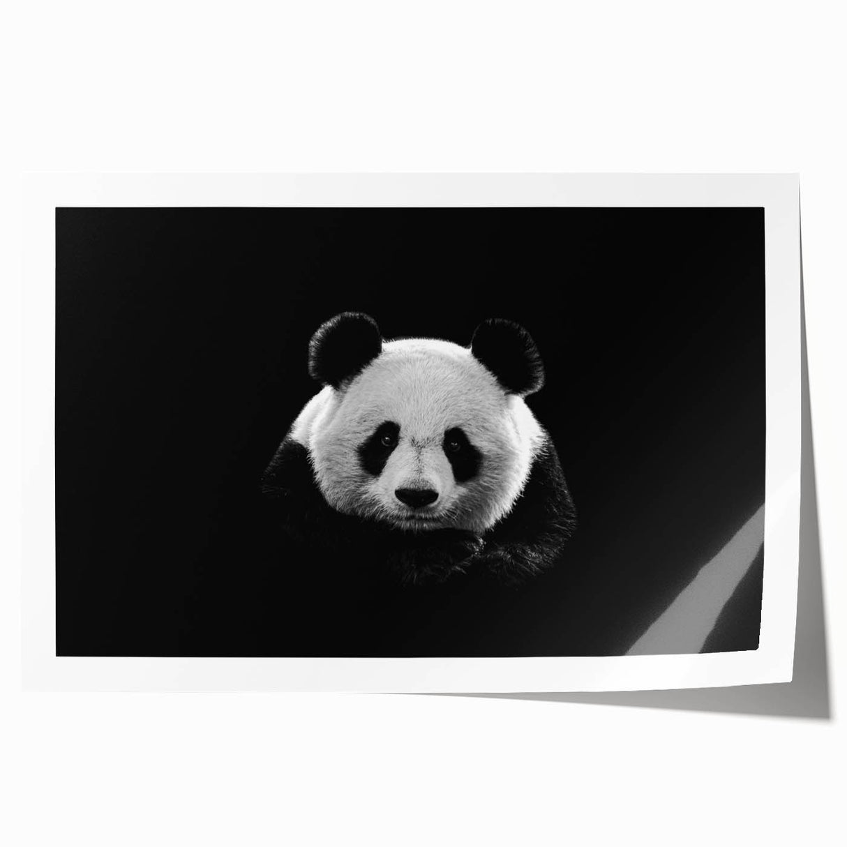 Panda bear wall art design featuring vibrant colors and playful elements, printed on rolled canvas and ideal for nursery or children's room décor.