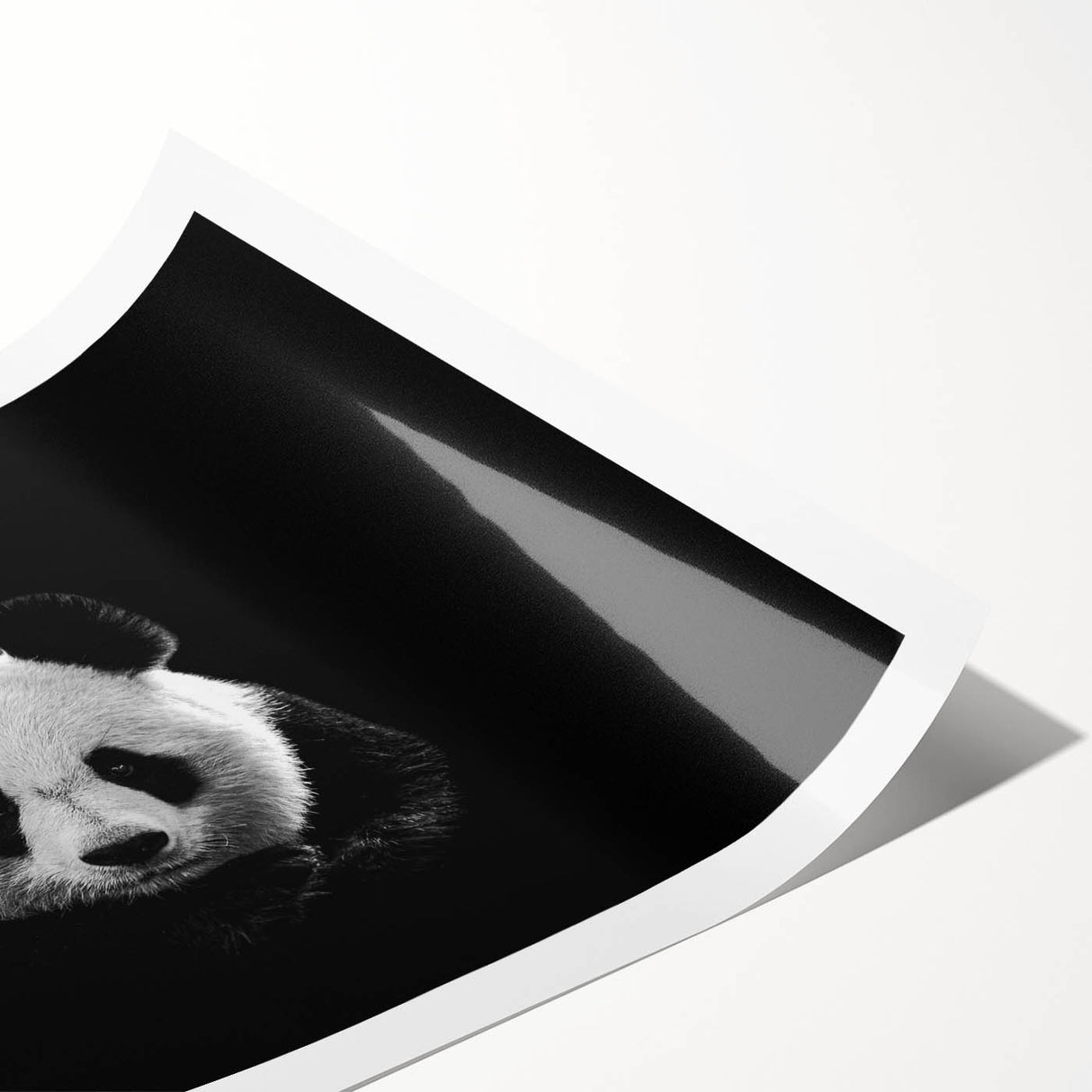 Stylish rolled print of a panda bear design, showcasing vibrant colors and intricate details, ideal for modern home decor, packaged securely in a cardboard tube.