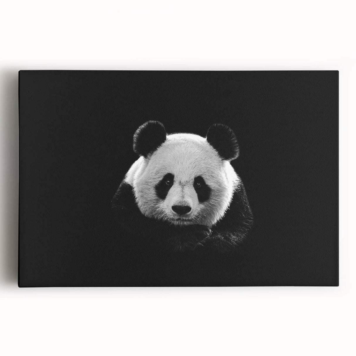 Panda-themed wall art collection showcasing a vibrant, colorful design on stretched canvas, perfect for nursery or children's room decor, featuring playful bear and panda illustrations.