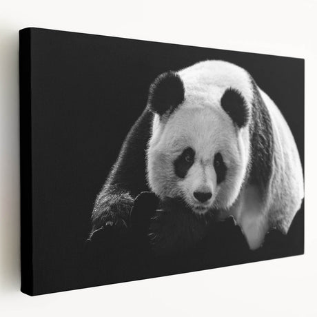 Stretched canvas wall art featuring a playful panda bear design, highlighting vibrant colors and intricate details, perfect for children's room decor.