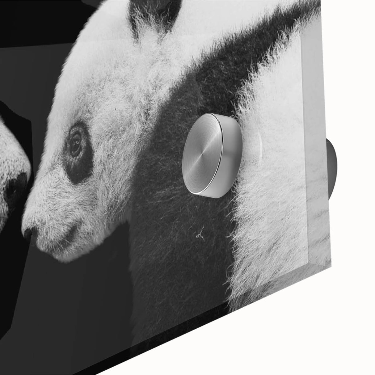 Close-up of a vibrant acrylic glass wall art featuring a playful panda bear design, showcasing intricate details and colors, perfect for children's room decor.