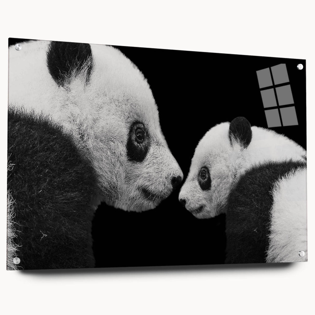Acrylic wall art collection showcasing a bear and panda design, displayed from a side view with decorative pins, perfect for children's rooms or playful decor.