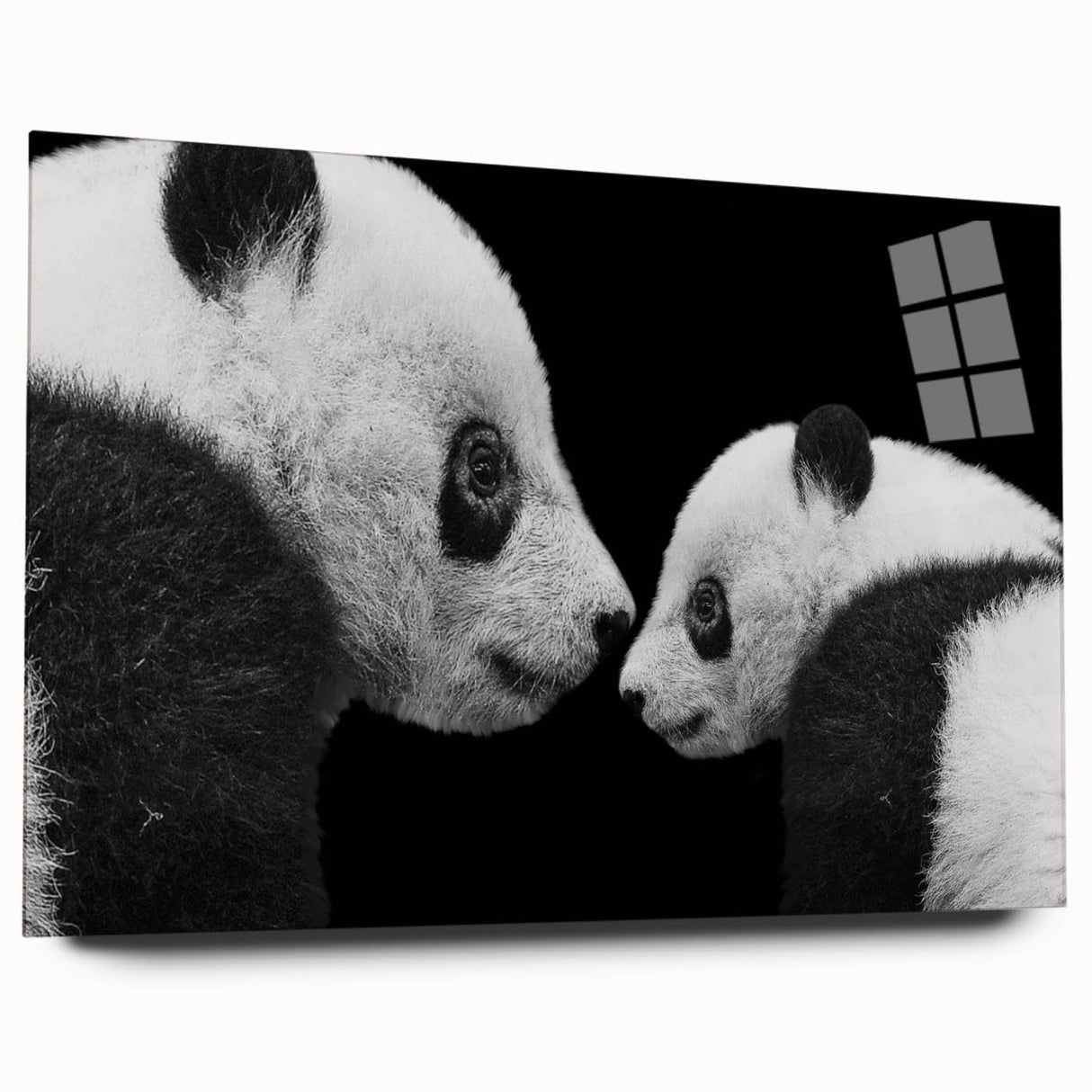 Acrylic wall art collection featuring a side view of a panda bear design, showcasing vibrant colors and intricate details, perfect for contemporary decor. Ideal for animal lovers and modern art enthusiasts.