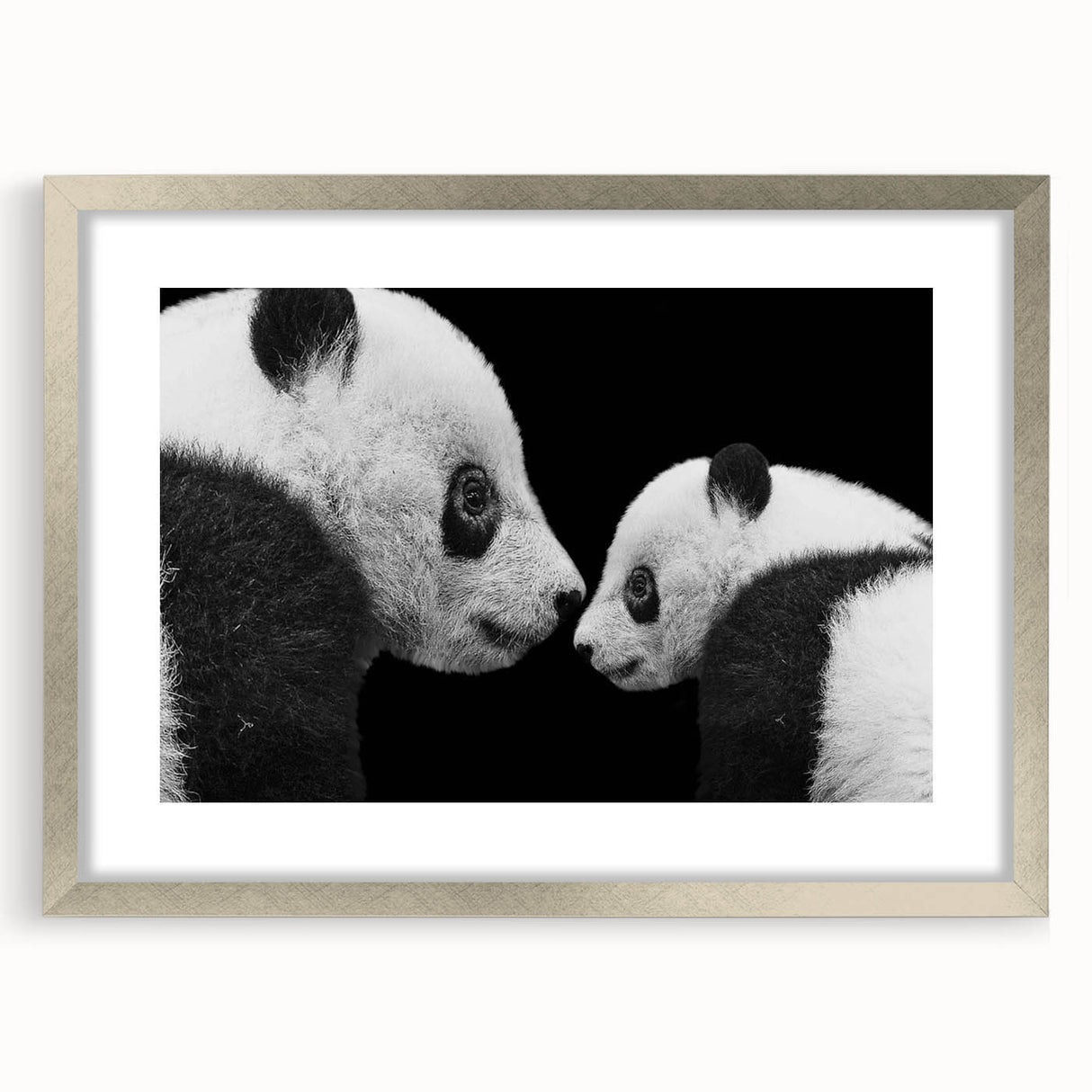 Framed wall art collection showcasing a panda bear design in a silver frame, featuring a mat for added elegance. Ideal for nursery or children's room decor.