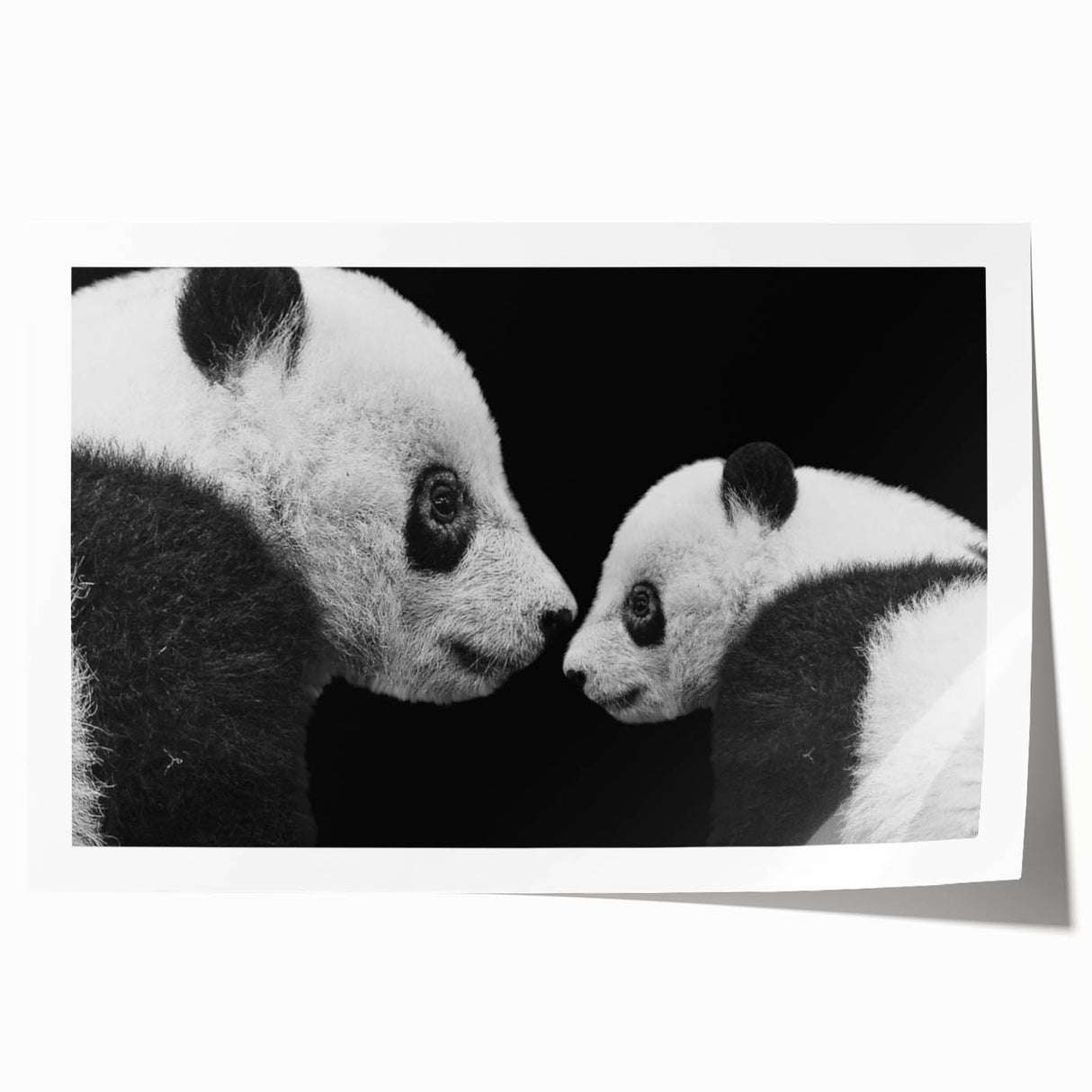Panda bear wall art print showcasing a whimsical and colorful design, featuring vibrant greens and playful elements, ideal for children's room decor or nursery.