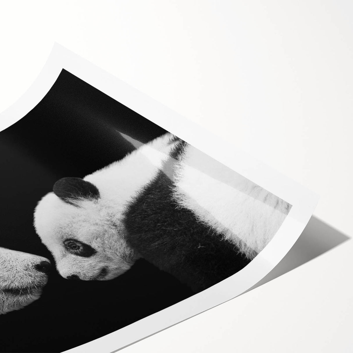 Panda bear wall art print showcasing a vibrant, colorful design, perfect for playful decor in children's rooms or nurseries, rolled and ready for framing.
