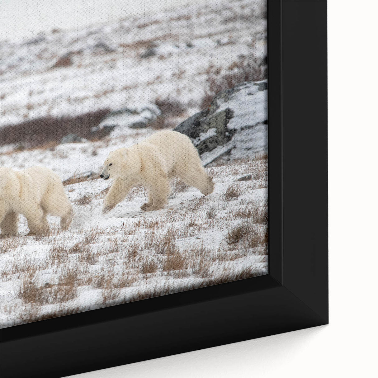 Close-up of a framed canvas wall art featuring an intricate polar bear design, showcasing detailed textures and vibrant colors, perfect for modern home decor.