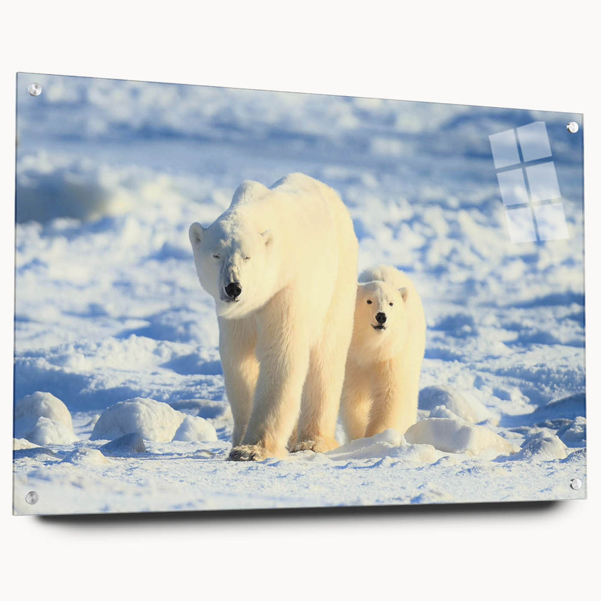 Side view of a polar bear design wall art piece displayed in a sleek acrylic frame with pins, showcasing vibrant colors and intricate details ideal for modern decor.
