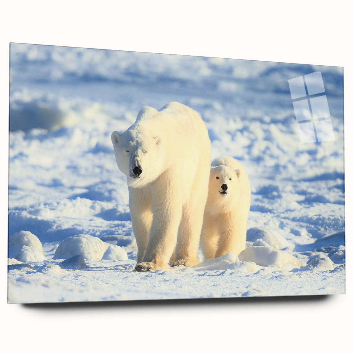 Vibrant polar bear wall art design displayed in an acrylic glass frame, showcasing a side view of the artwork with a sleek, modern aesthetic, perfect for home decor.