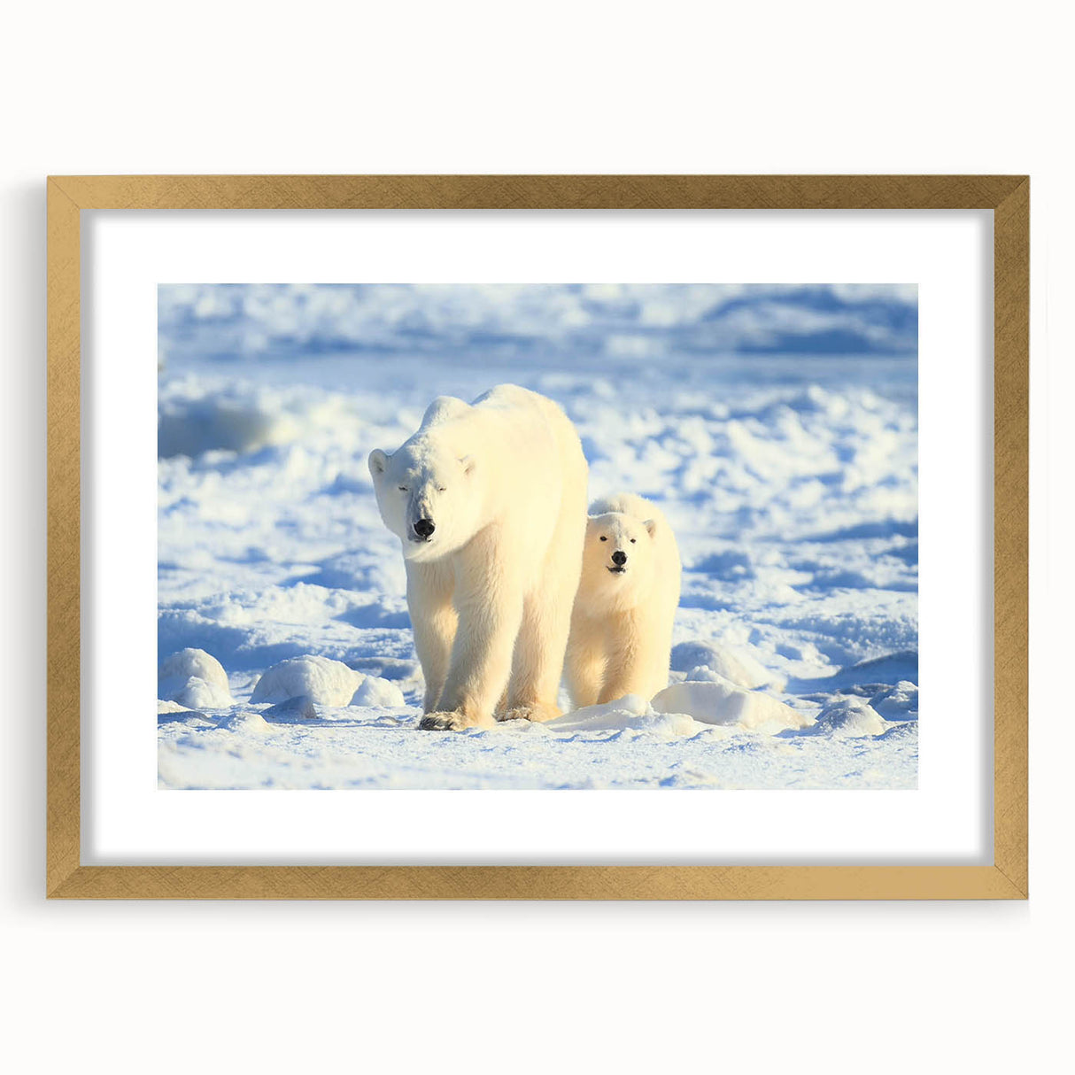Framed wall art featuring a striking polar bear design, elegantly set in a gold frame with a mat, perfect for enhancing home decor. Ideal for wildlife enthusiasts.