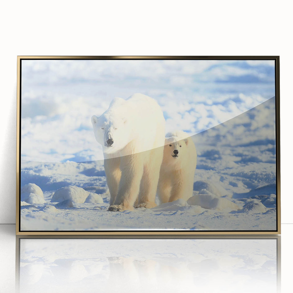 Framed wall art featuring a striking polar bear design in an elegant gold-acrylic frame, showcasing intricate details and a modern aesthetic, perfect for enhancing home decor.