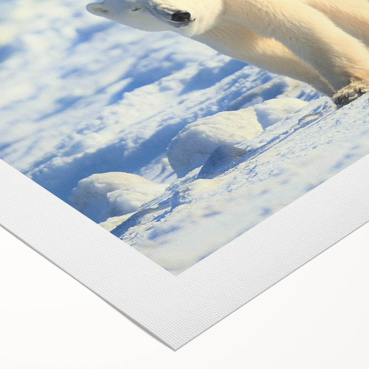 Rolled canvas showcasing a striking polar bear design in soft blues and whites, ideal for wildlife-themed decor. Perfect for enhancing modern interiors or children's rooms.