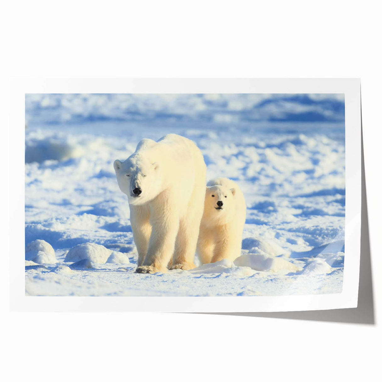 Polar bear wall art print featuring a vibrant, stylized design, showcasing the bear's intricate details against a soft, muted background, ideal for enhancing any contemporary space.