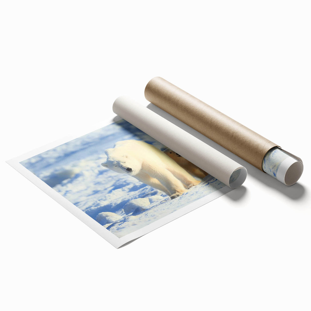 Polar bear wall art print showcasing a striking design with a white polar bear against a vibrant, abstract background, presented in a rolled format for easy framing.