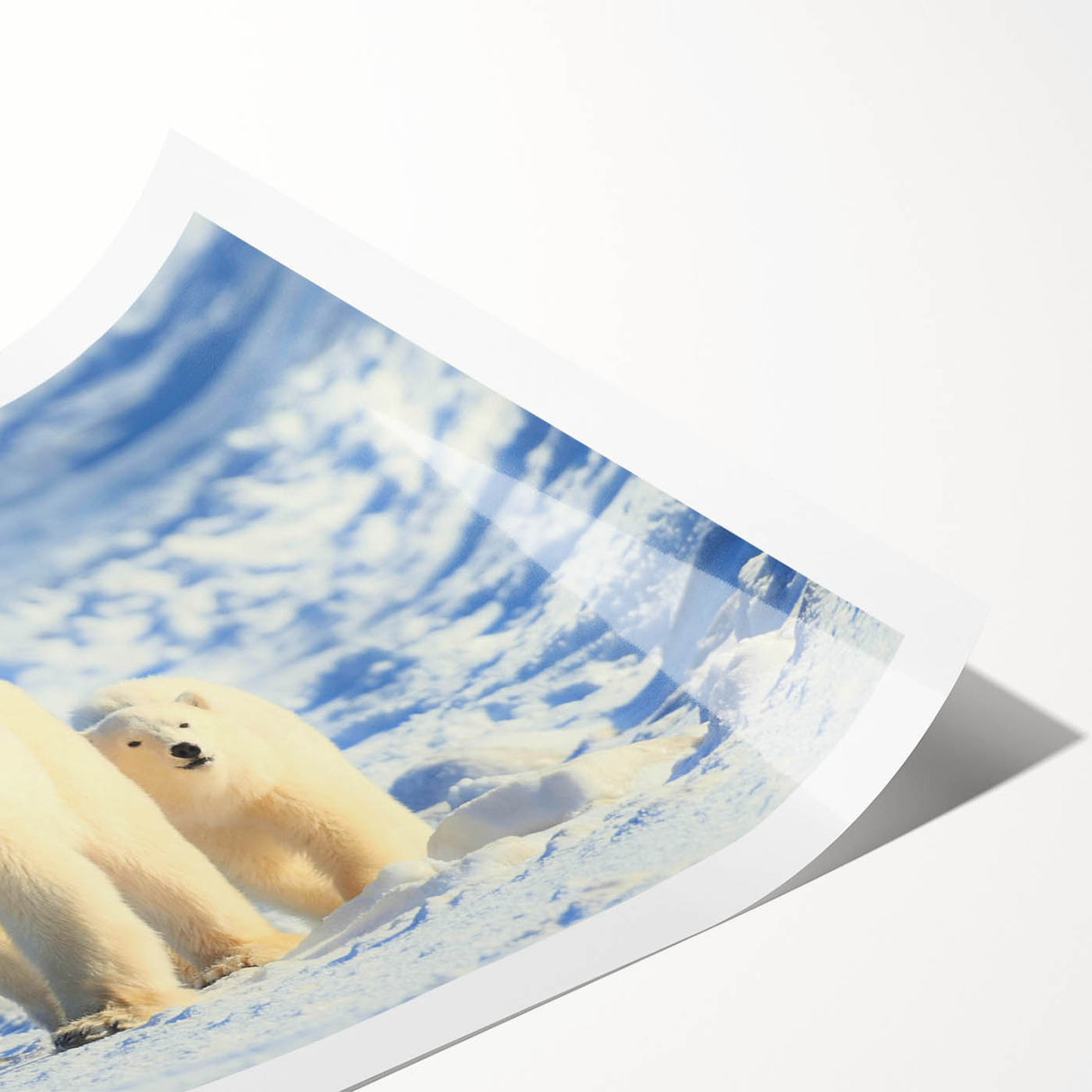 Polar bear wall art print showcasing a striking design featuring a majestic polar bear against a serene icy blue background, perfect for nature-themed decor.