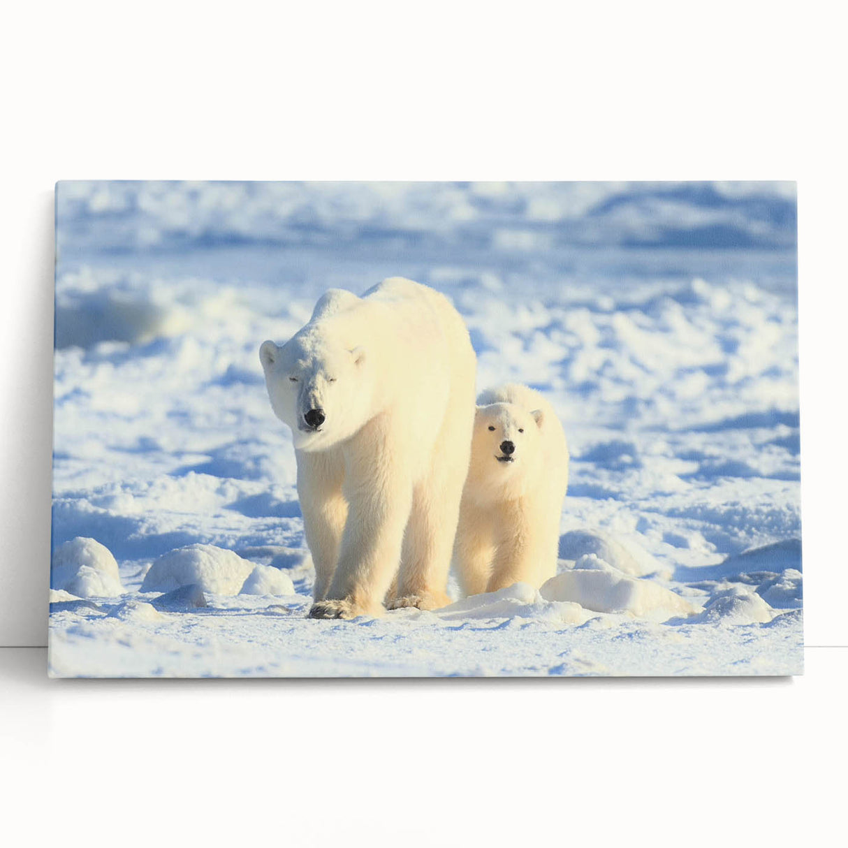 Polar bear wall art design on stretched canvas, showcasing a vibrant, detailed illustration of a polar bear against a minimalist background, perfect for wildlife enthusiasts.