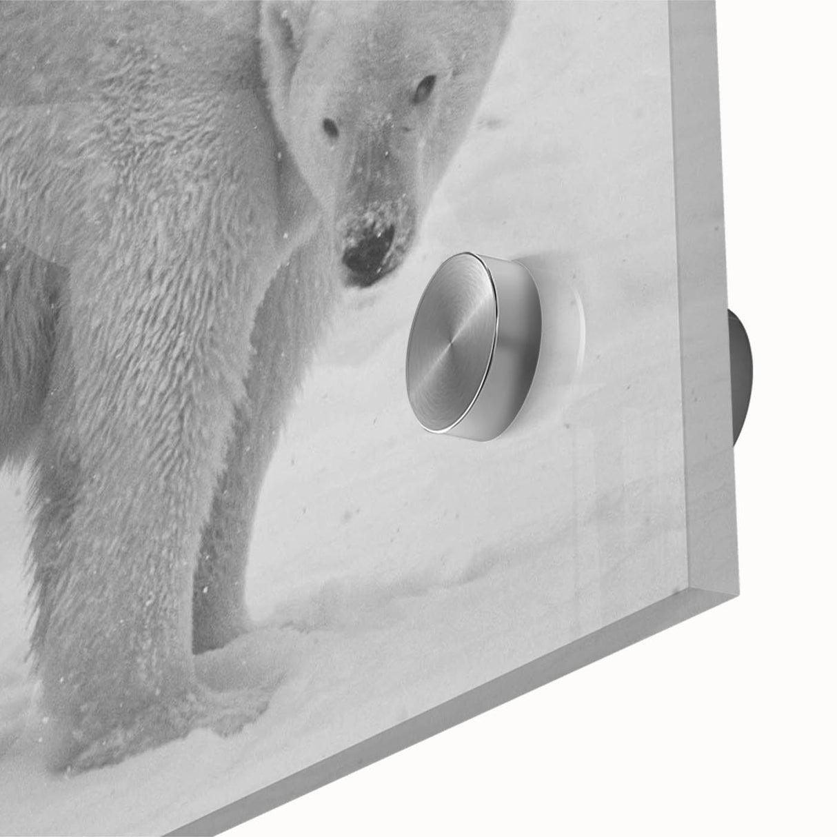 Close-up view of a polar bear design wall art piece, showcasing intricate details on acrylic glass, perfect for modern home decor with a nature theme.