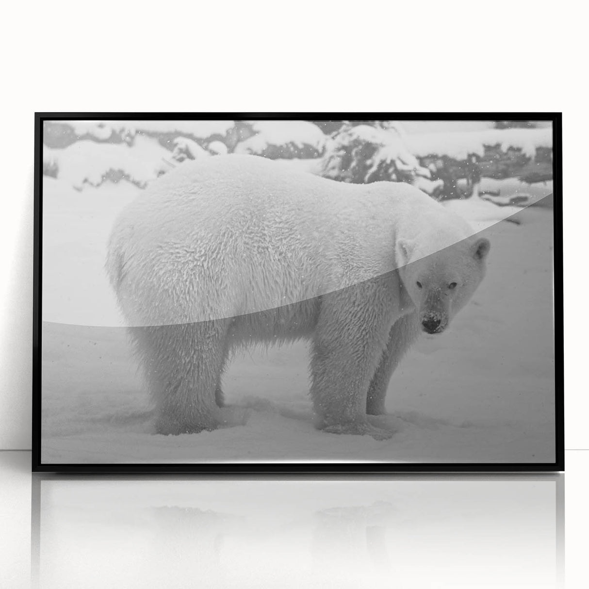 Framed wall art featuring a striking polar bear design in black and white, displayed in a sleek black frame, perfect for adding a modern touch to home decor.