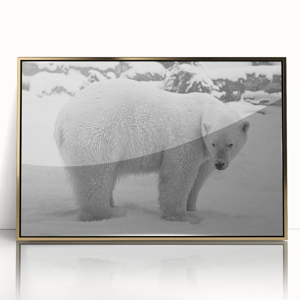 Framed wall art showcasing a striking polar bear design, featuring a gold-acrylic frame that enhances the vibrant colors, perfect for wildlife enthusiasts and modern decor.