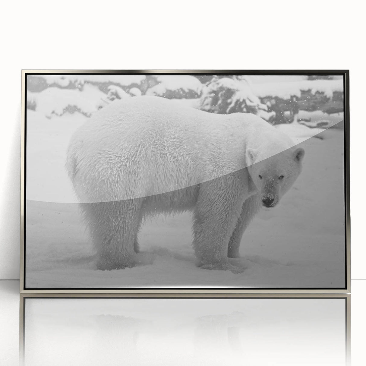 Framed wall art featuring a striking polar bear design in a modern silver frame, showcasing vibrant colors and intricate details, perfect for animal lovers' decor.