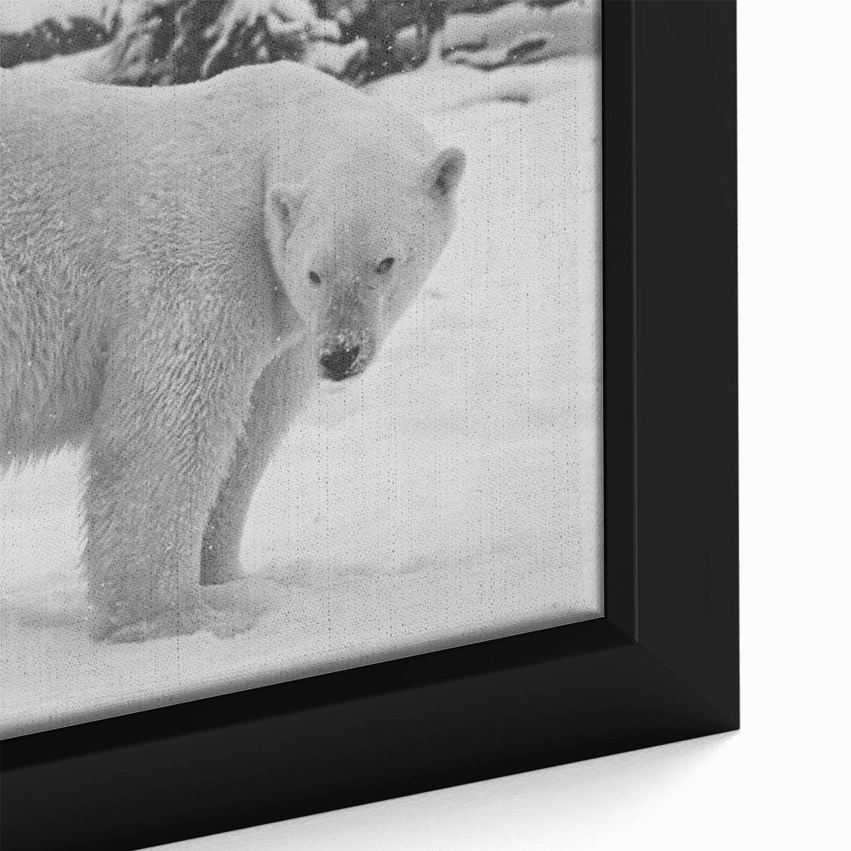 Close-up of a framed polar bear wall art piece showcasing intricate details and vibrant colors, perfect for enhancing home decor with a nature theme.