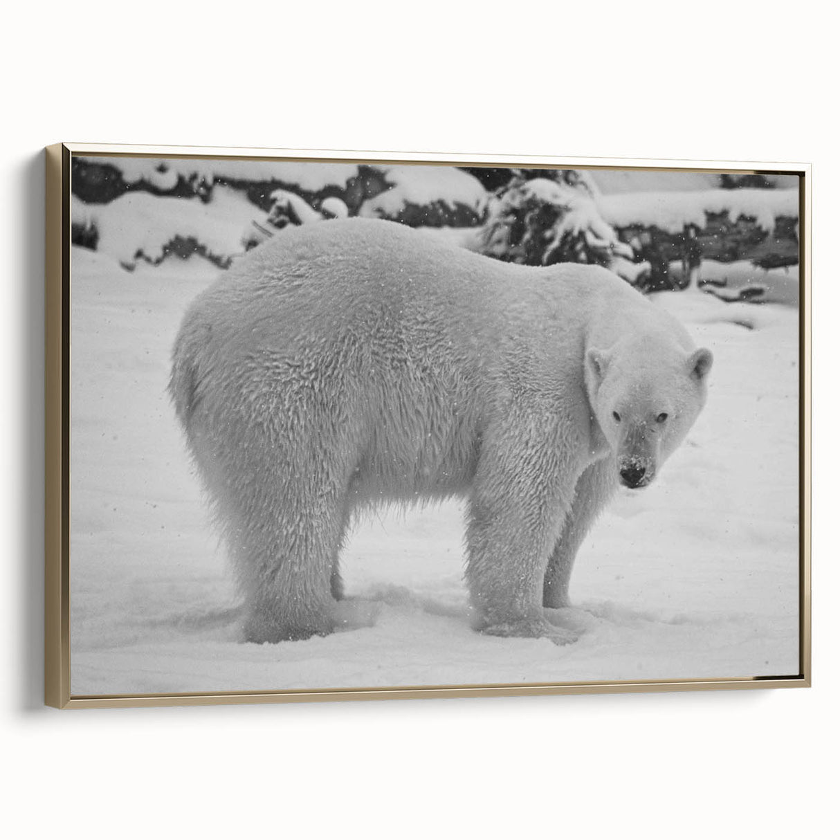 Framed wall art featuring a polar bear design on a textured canvas, set against a gold frame, showcasing a side view. Ideal for animal lovers and home decor enthusiasts.