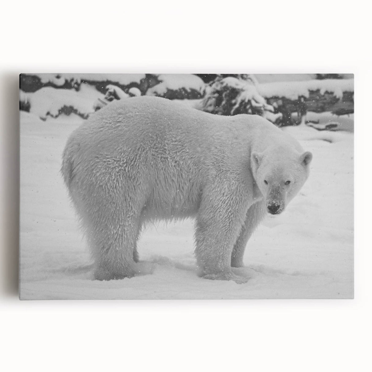 Stretched canvas wall art featuring a striking polar bear design in a serene winter landscape, showcasing detailed textures and soft blue tones, perfect for home decor.