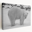 Stretched canvas wall art showcasing a majestic polar bear design in a serene icy landscape, perfect for wildlife enthusiasts and modern home decor.