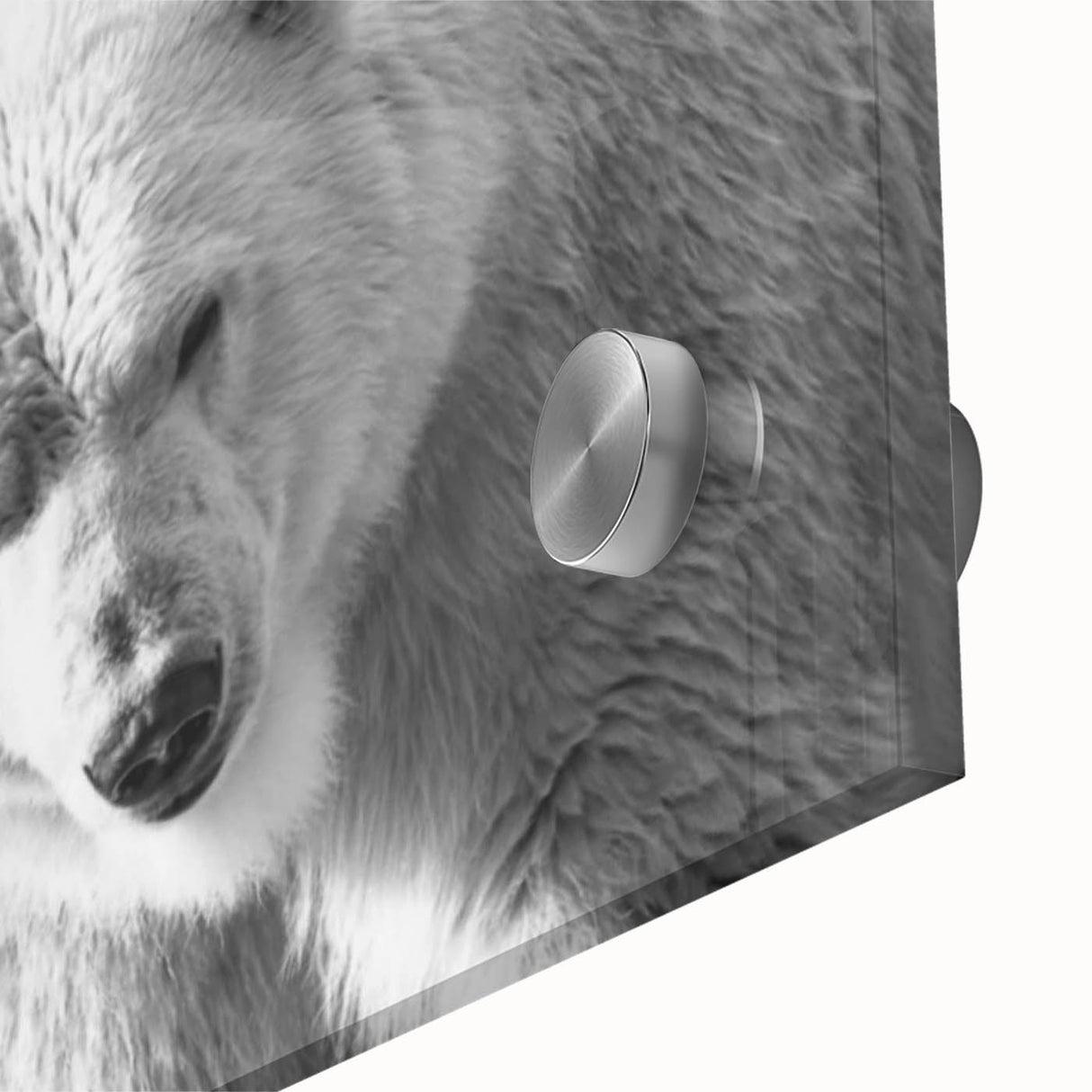 Close-up of a striking polar bear wall art design, showcasing vibrant colors and intricate details on acrylic glass, perfect for modern home decor.