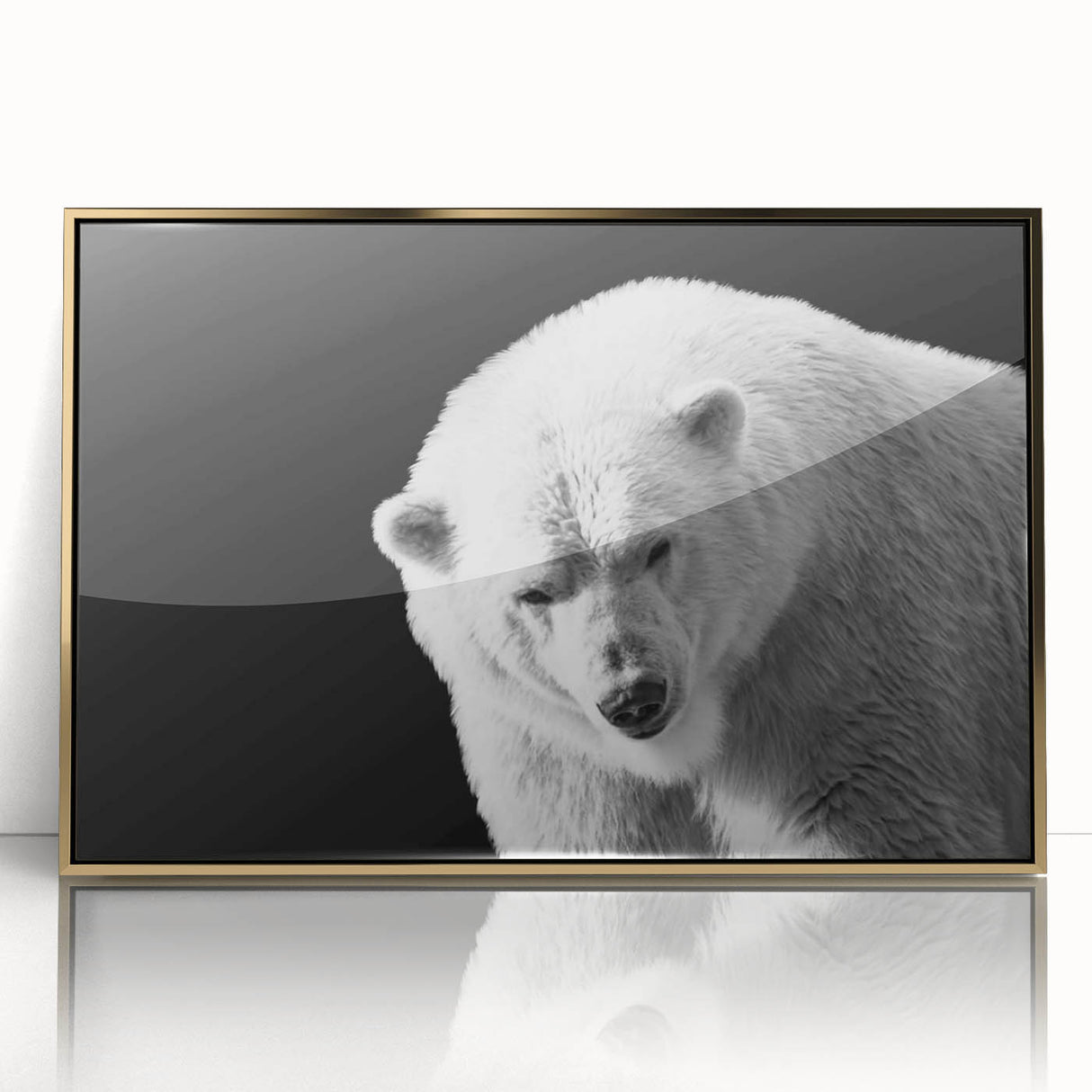 Framed wall art featuring a polar bear design with a sleek gold acrylic front, ideal for modern home decor. Perfect for animal lovers seeking stylish accents.