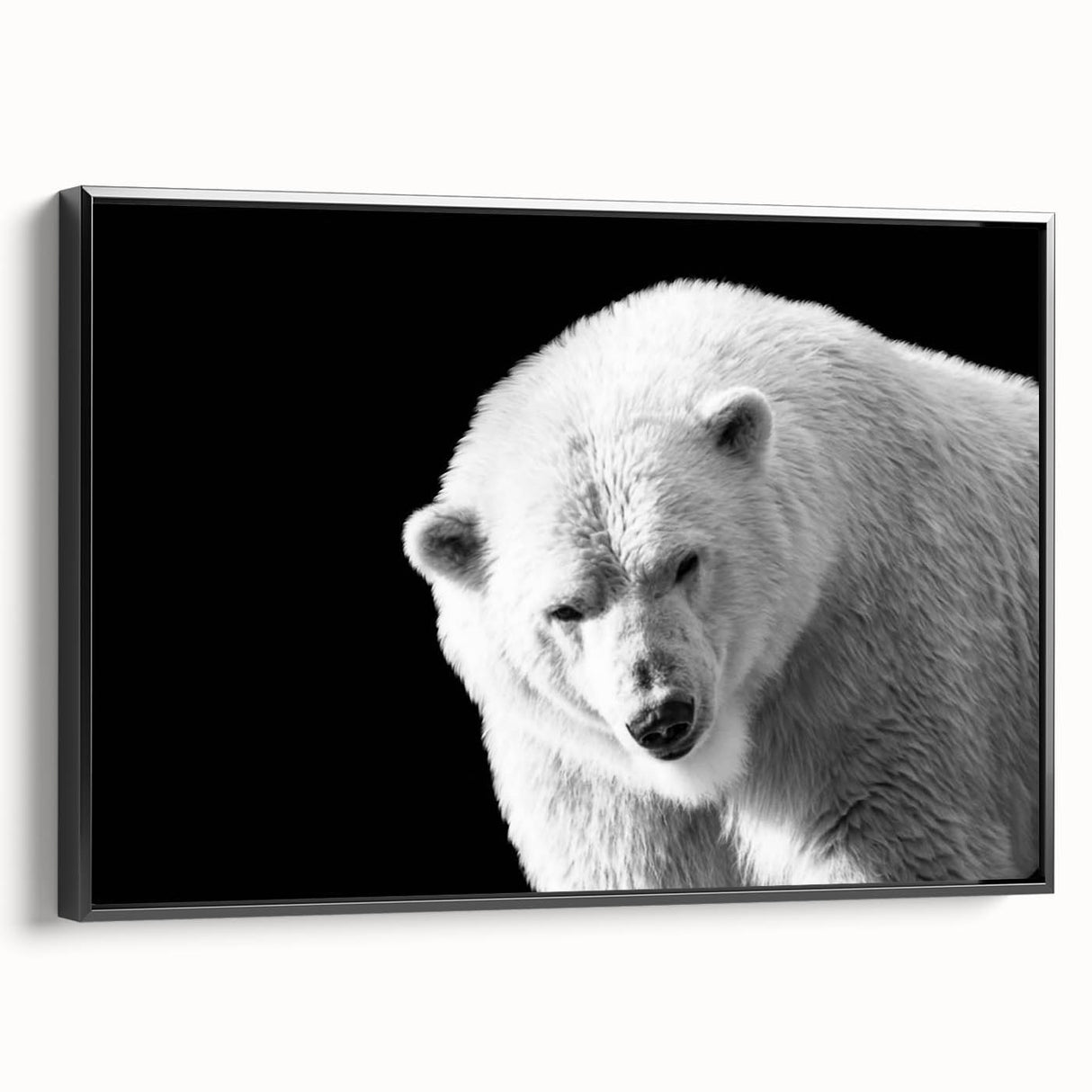 Framed canvas wall art featuring a striking polar bear design in monochrome, showcasing intricate details and a modern black frame, ideal for wildlife enthusiasts.