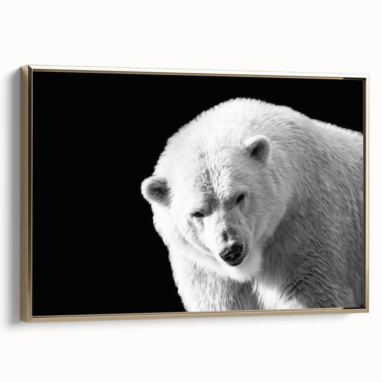 Framed canvas wall art showcasing a polar bear design with a gold frame, highlighting the animal's majestic presence and intricate details in a contemporary setting.