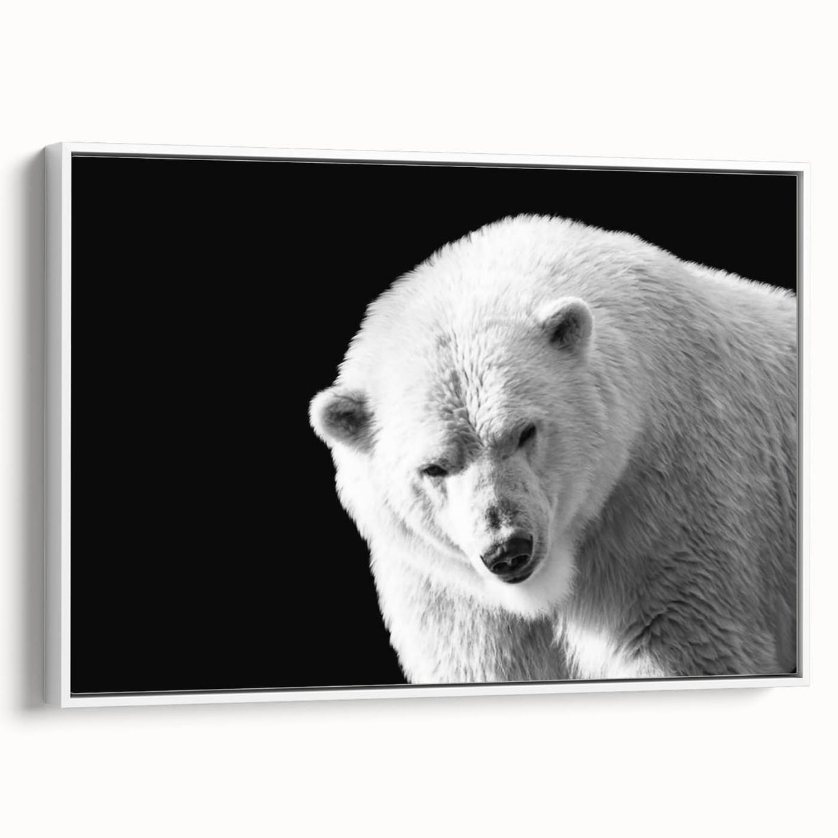 Framed polar bear wall art featuring a serene white and blue design, showcasing a side view of the bear against a minimalist background, perfect for modern decor.