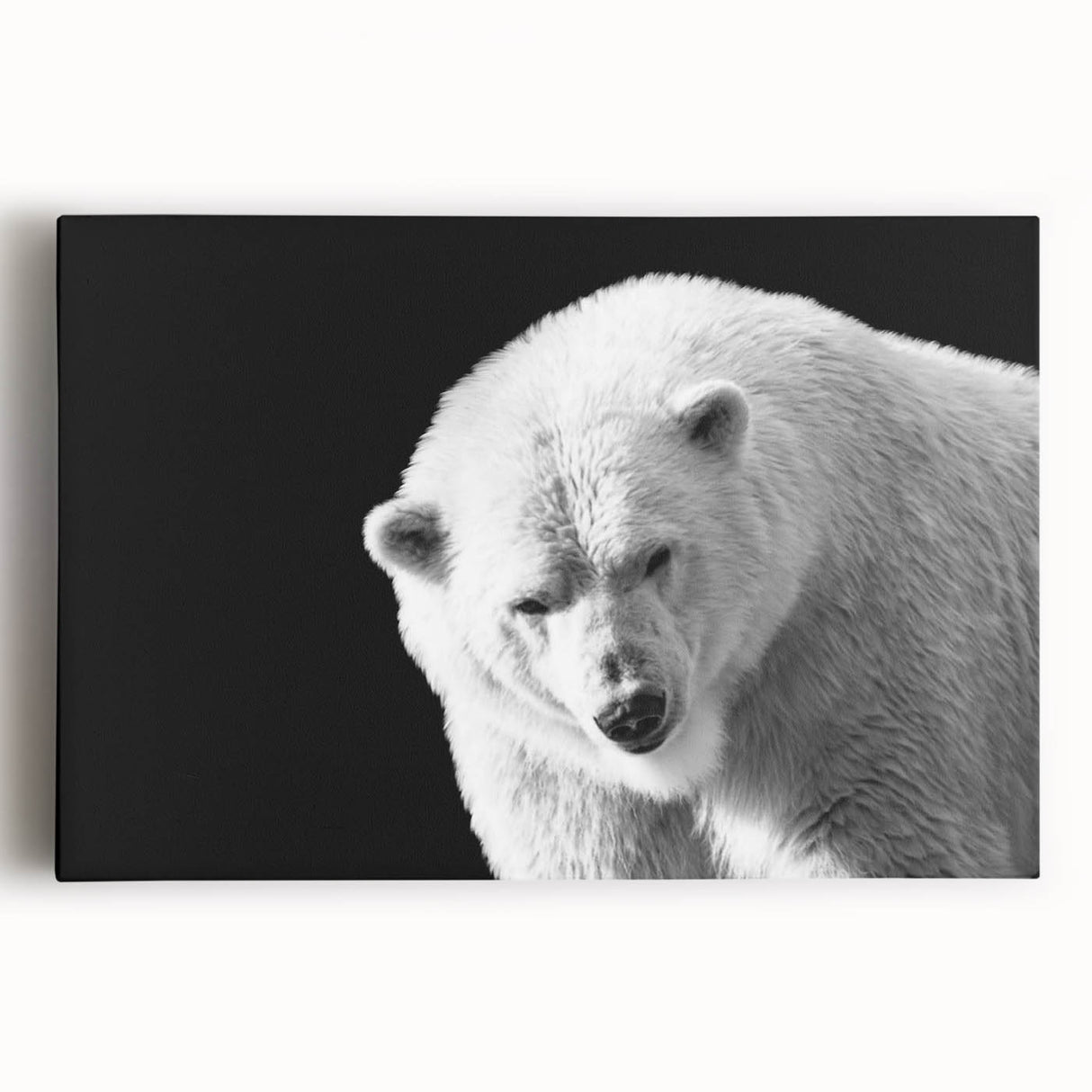 Stretched canvas wall art showcasing a striking polar bear design, featuring vibrant colors and intricate details, ideal for wildlife enthusiasts and modern decor.